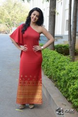 Nikki Galrani at Malupu Movie Success Meet